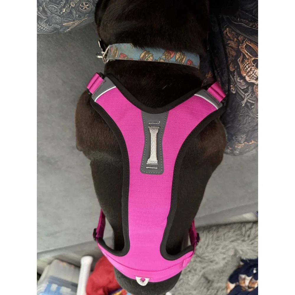Shawn Co Pet Basecamp Harness, Large(?) (See Desc), Pink